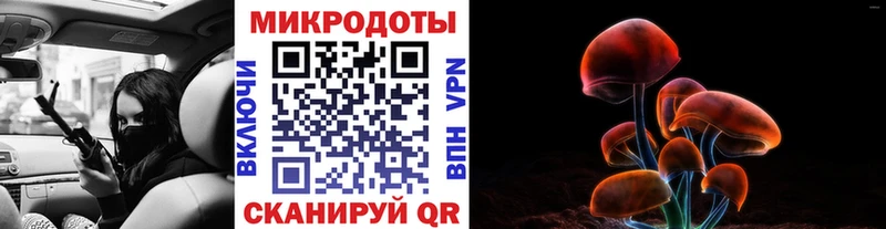 закладки  Большой Камень  Псилоцибиновые грибы MAGIC MUSHROOMS 