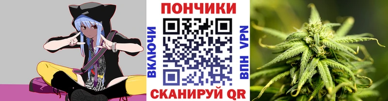 Каннабис OG Kush Большой Камень